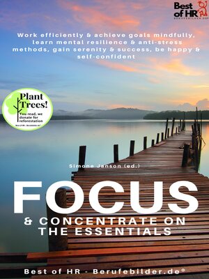 cover image of Focus & Concentrate on the Essentials